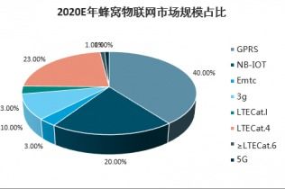 2021-2027年中國(guó)蜂窩物聯(lián)網(wǎng)市場(chǎng)深度調(diào)查與前景展望